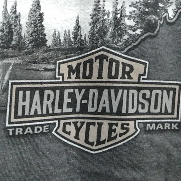 SALE! Harley Davidson Motorcycle Rocky Top Pigeon ForgeTN Long Sleeve Tee (BX51) - Picture 13 of 16